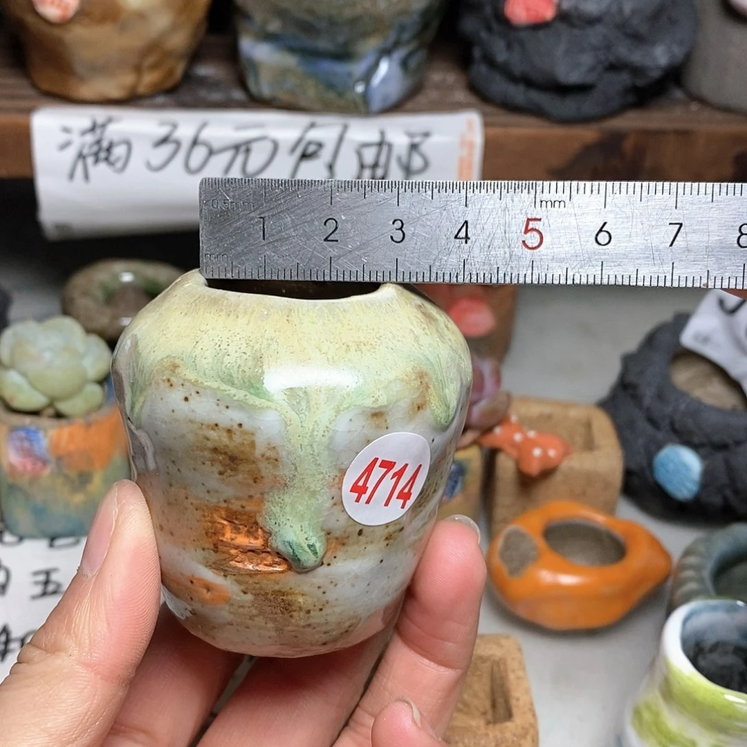 红陶拍5送一个小