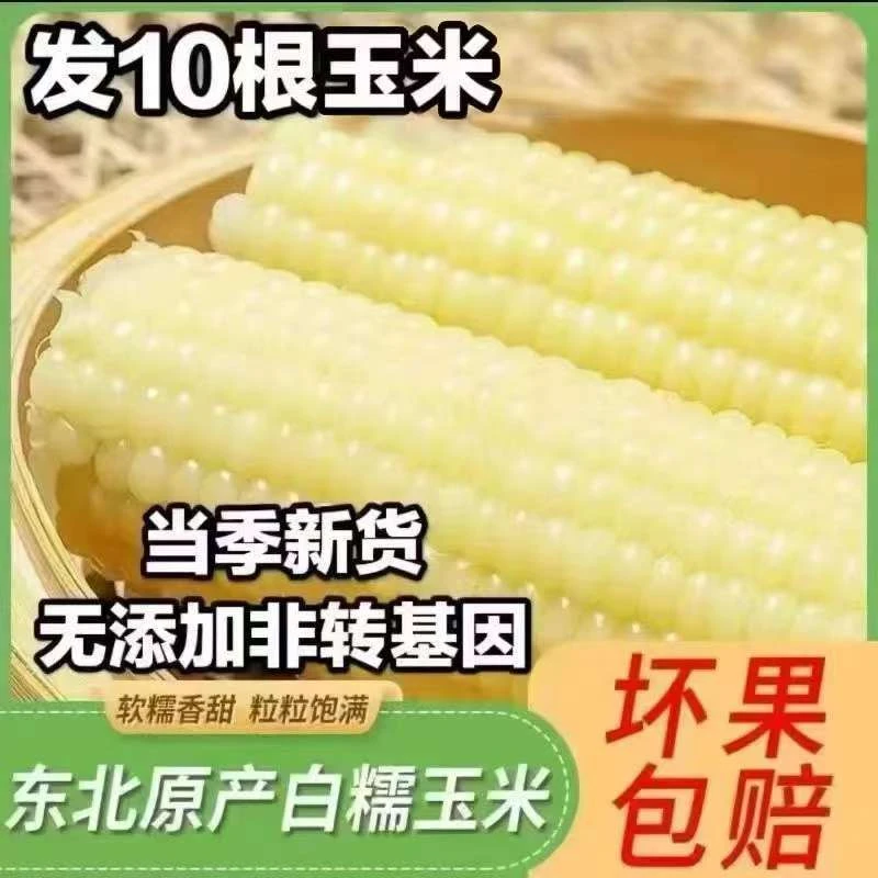 【试吃两根】新鲜东北头茬白糯甜玉米彩袋包装带箱6斤左右拍8送2