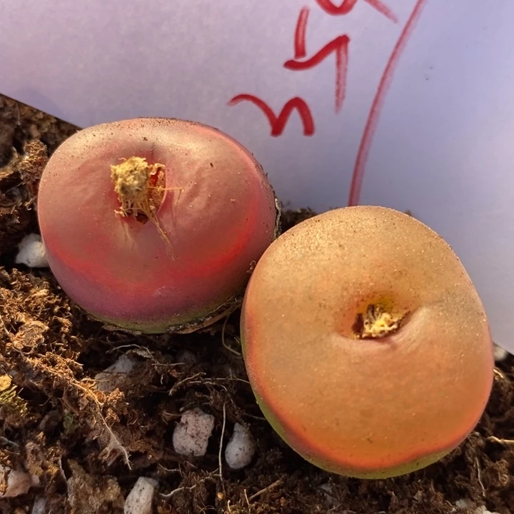 354一组一组一组