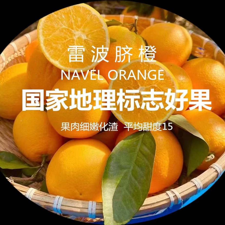 四川大凉山雷波脐橙青杠村核心产区