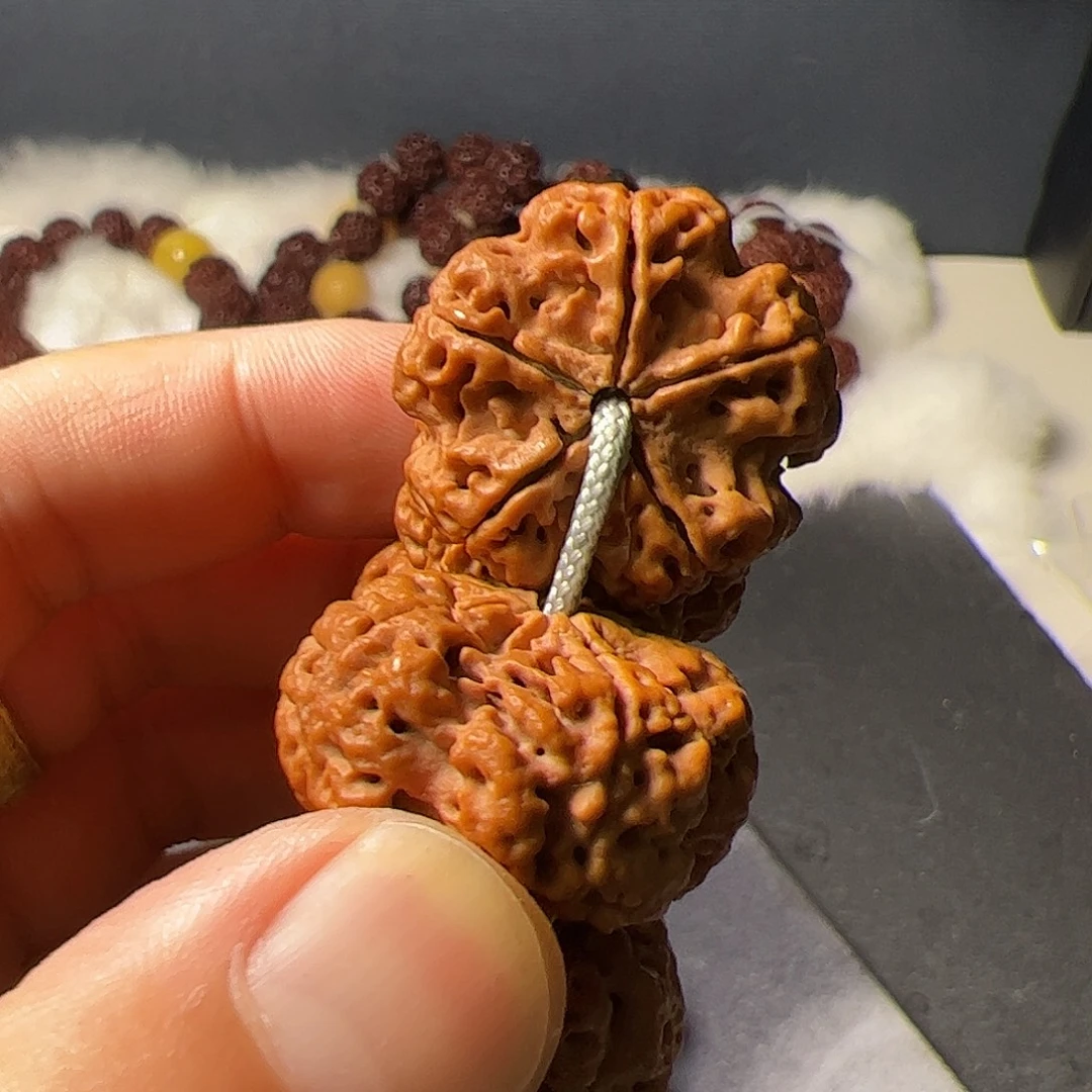 手串金刚菩提古龙梅花超头26+