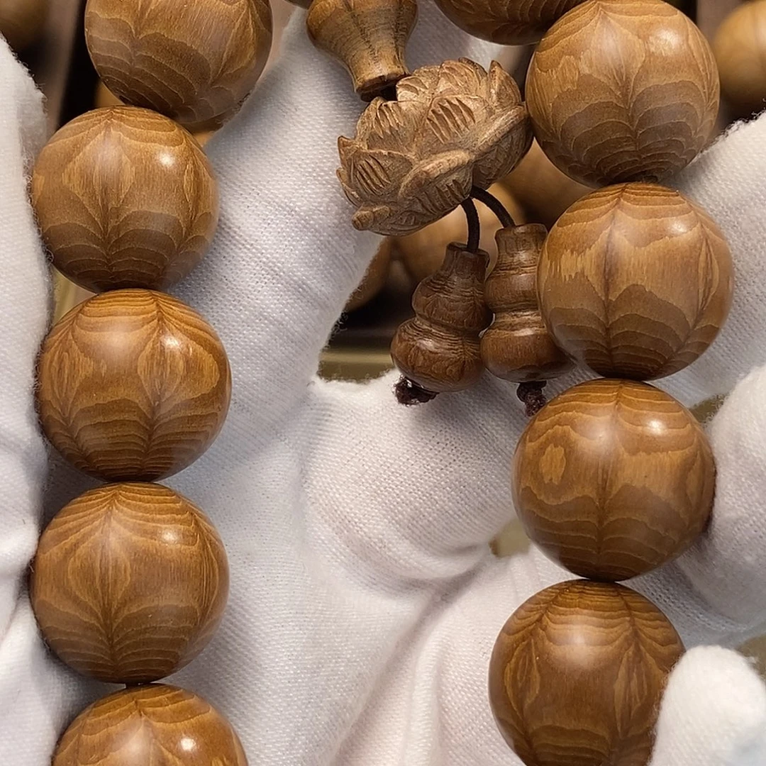 用***2六道木山西五台山