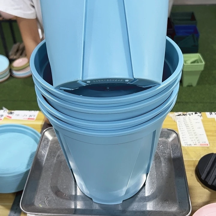 特价青山口24高24蓝色无托5只