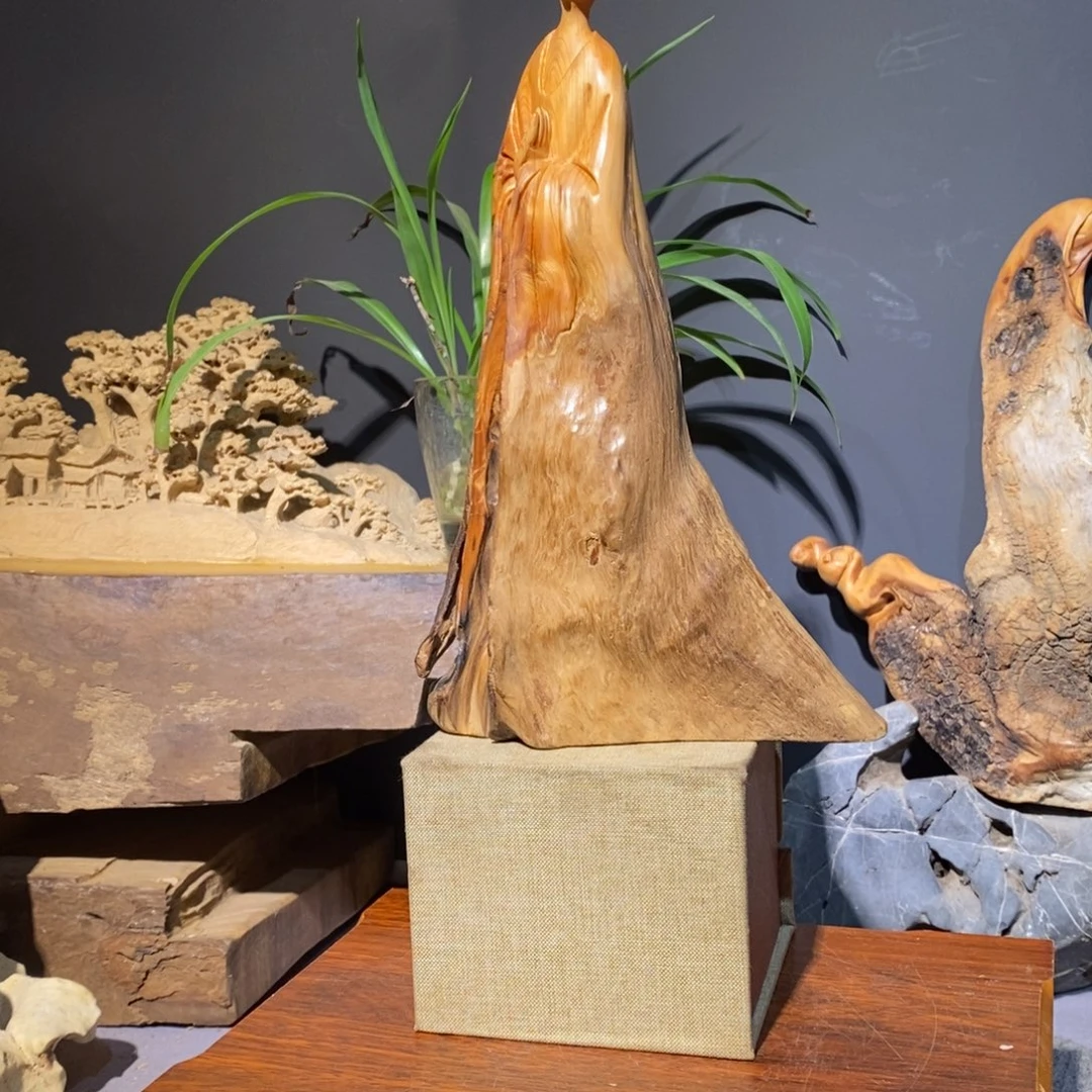 柏木太行18855522226666