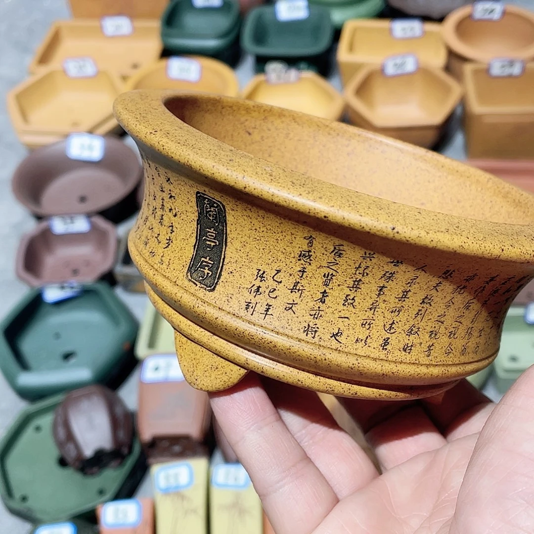 紫砂小盆11*4.5cmmmmm