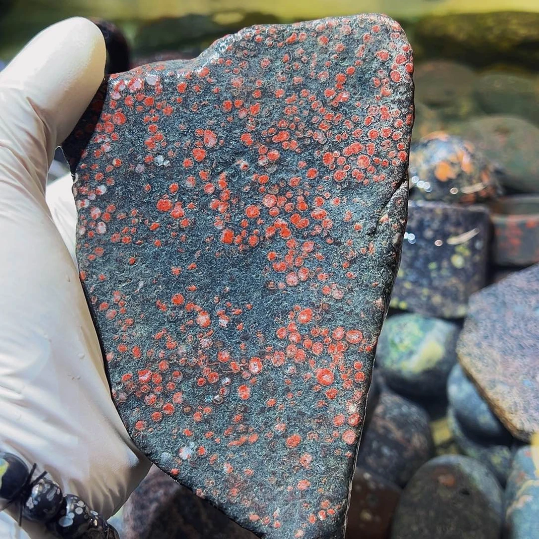 梅花玉鱼缸石茶周边不退不换