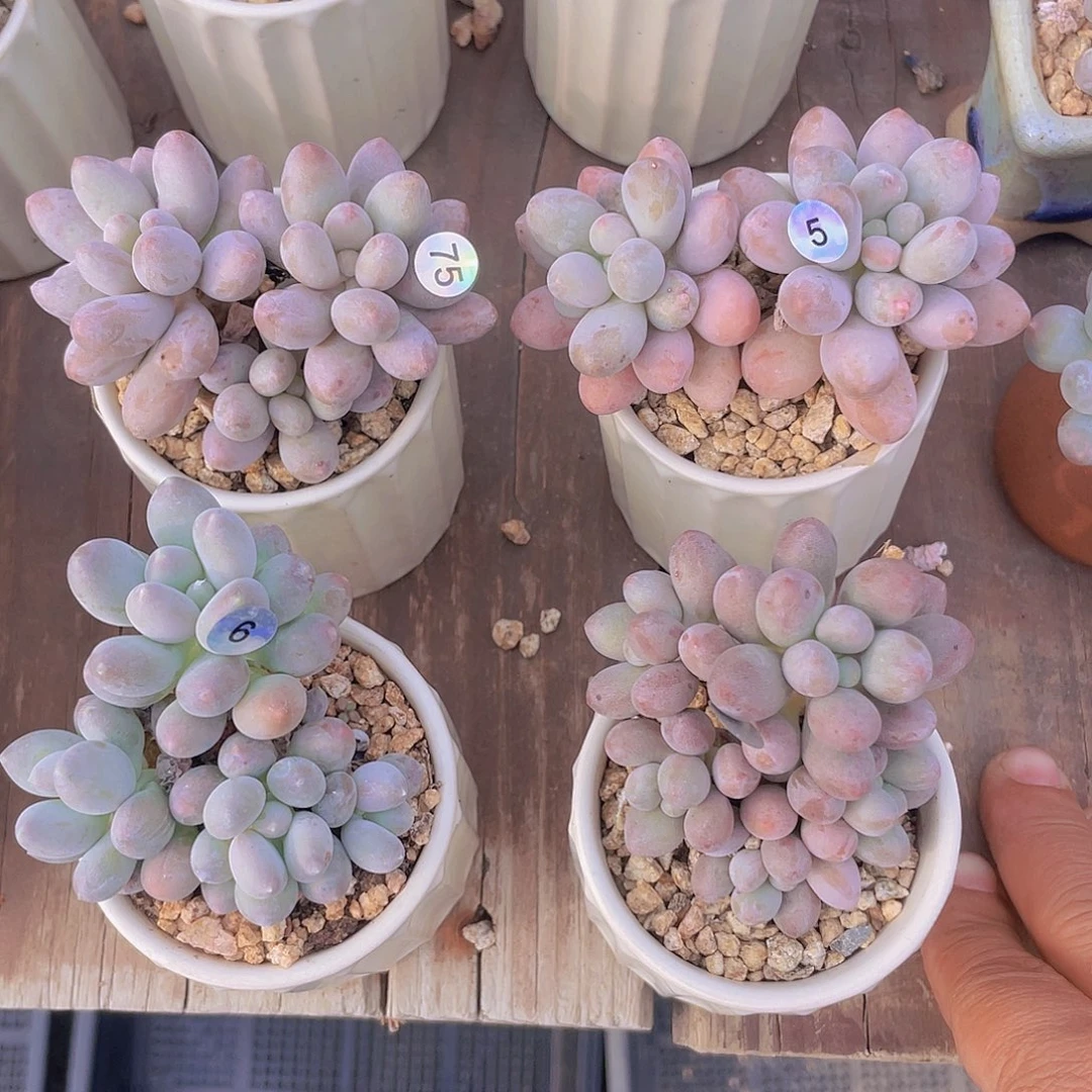 140的货 特价出货