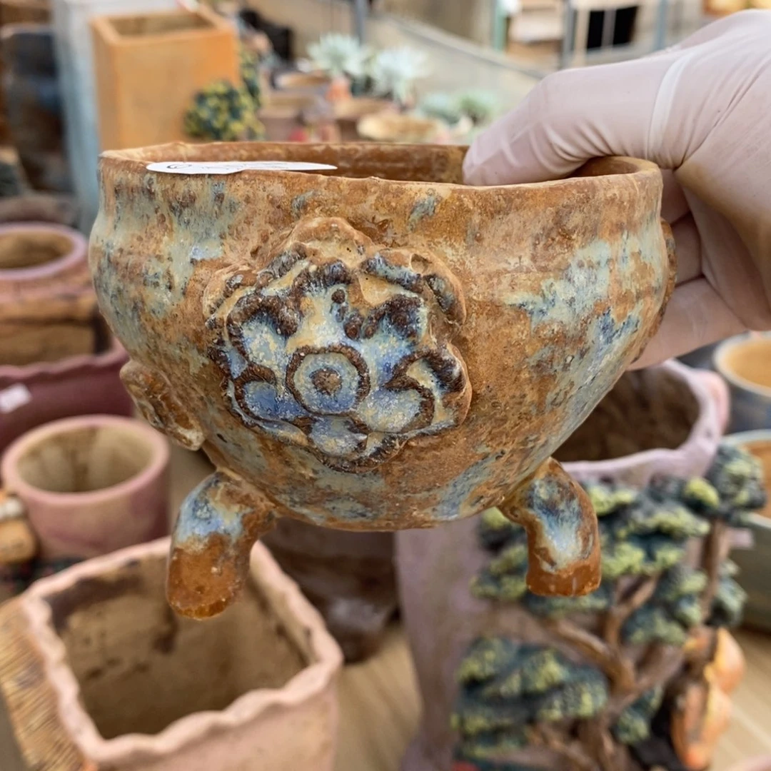 14号多肉盆口径10