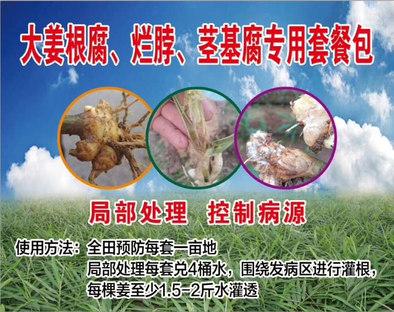 大姜根腐、烂脖、茎基腐套餐包