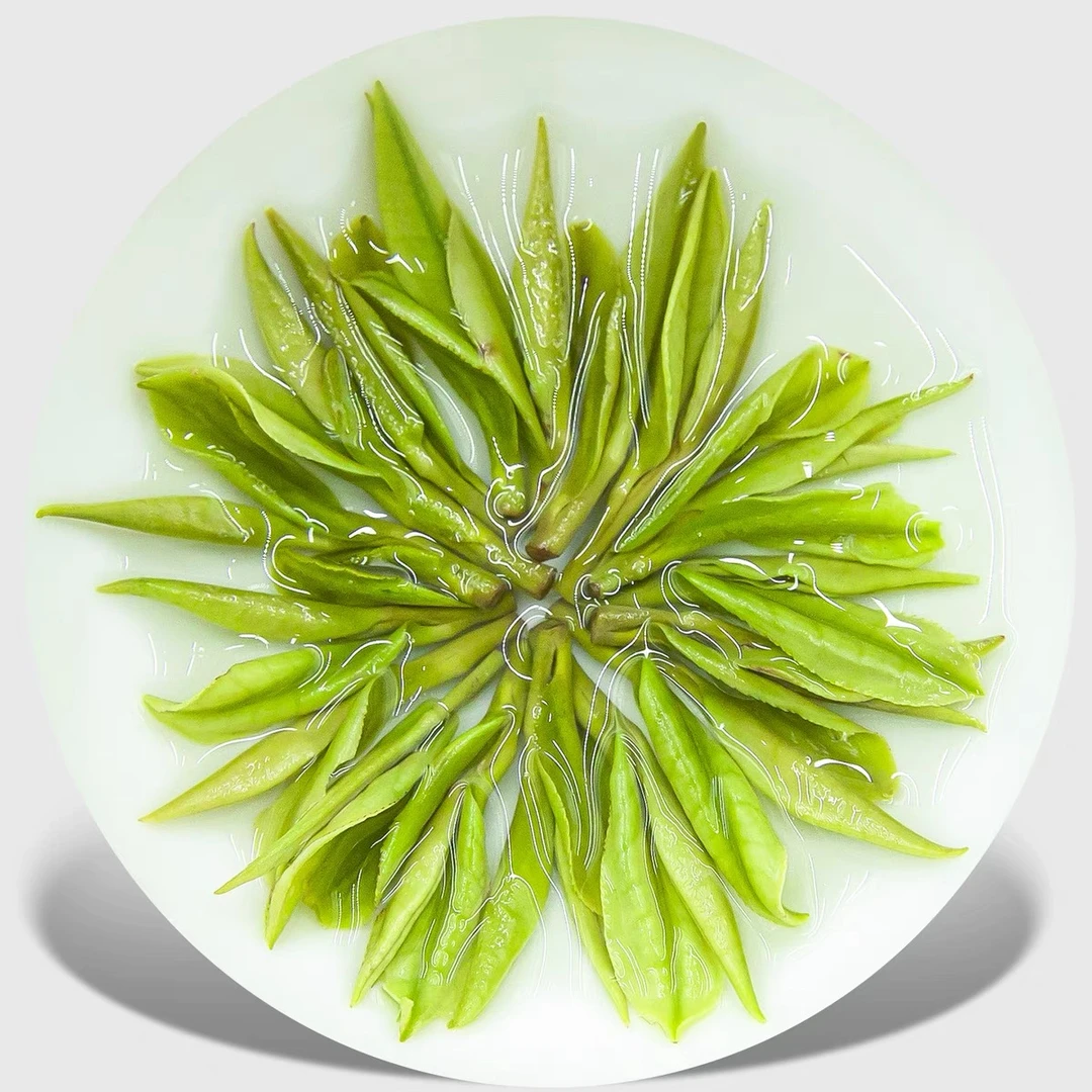 【高山兰香A5】安吉原产地高山茶头春头采安吉原产地白茶