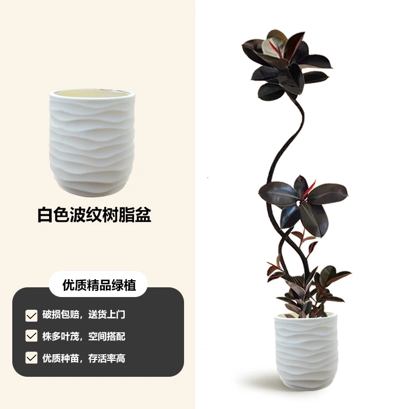 欧式轻奢高颜值简约百搭树脂盆