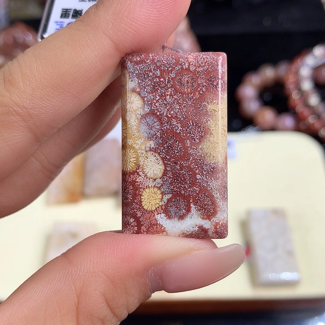吊坠(赠链)未镶嵌硅化珊瑚（珊瑚玉）5号上新吊坠