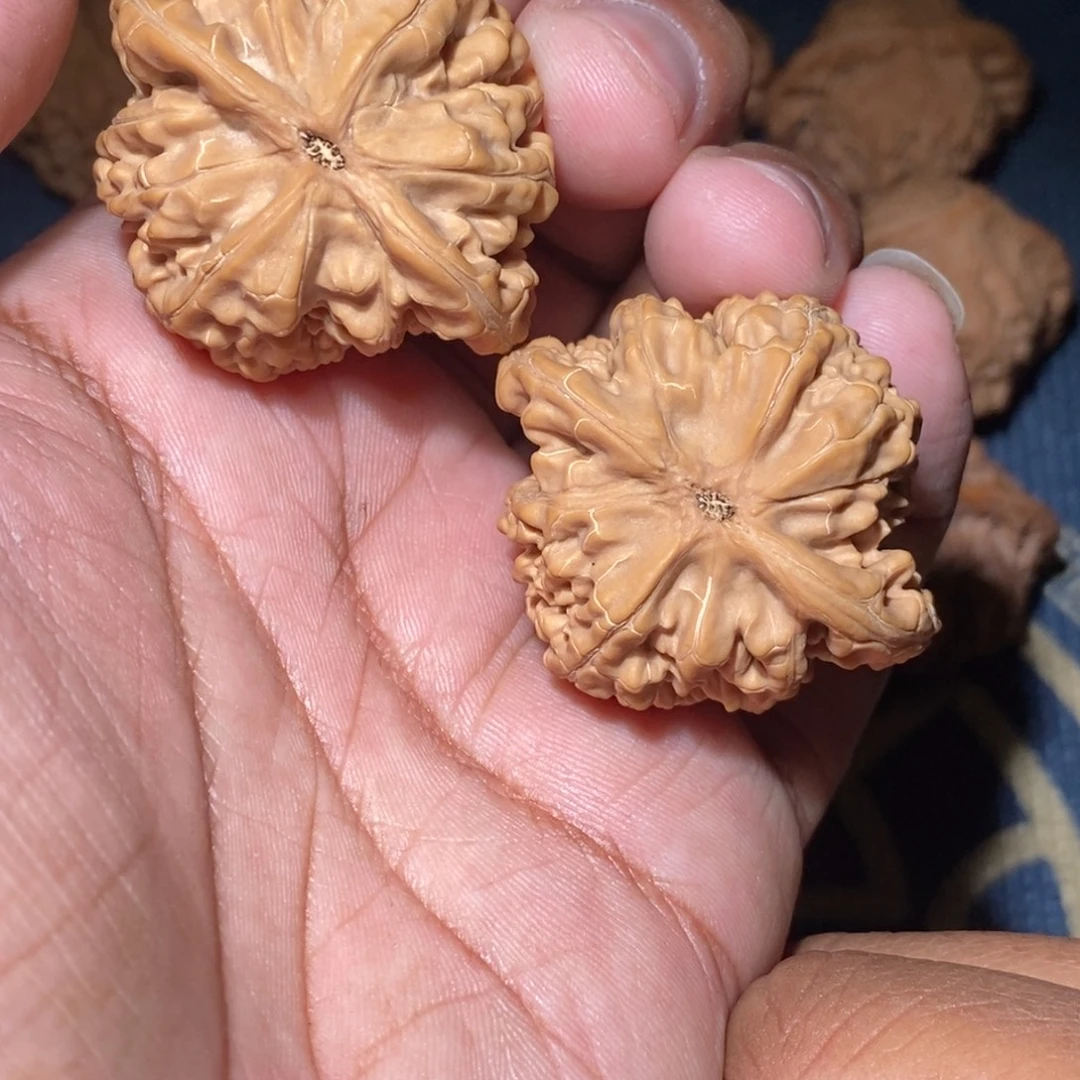 文玩核桃吊坠40尺寸全品无修蓟县望月