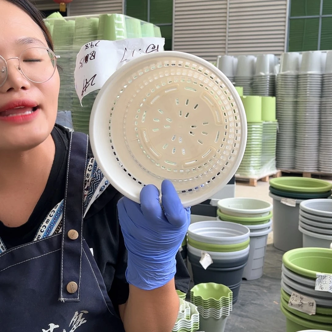 360超控根2#白色5个含托