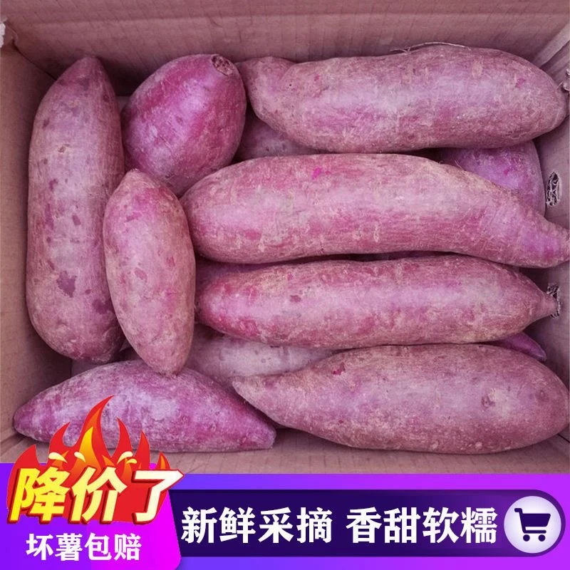 【抢购中】新鲜紫罗兰紫薯现挖沙地紫心蜜薯红薯地瓜烟薯蔬菜