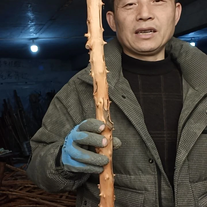 稳定木甪****甪贵州檬子木   铁马鞭   根艺  半成品