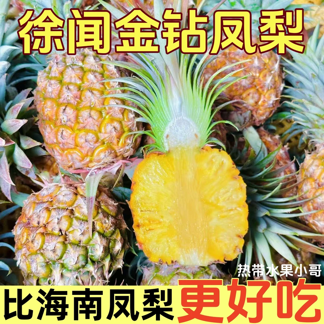 【顺丰包邮】徐闻凤梨正宗金钻热带水果孕妇应季新鲜水果冬蜜甜蜜蜜