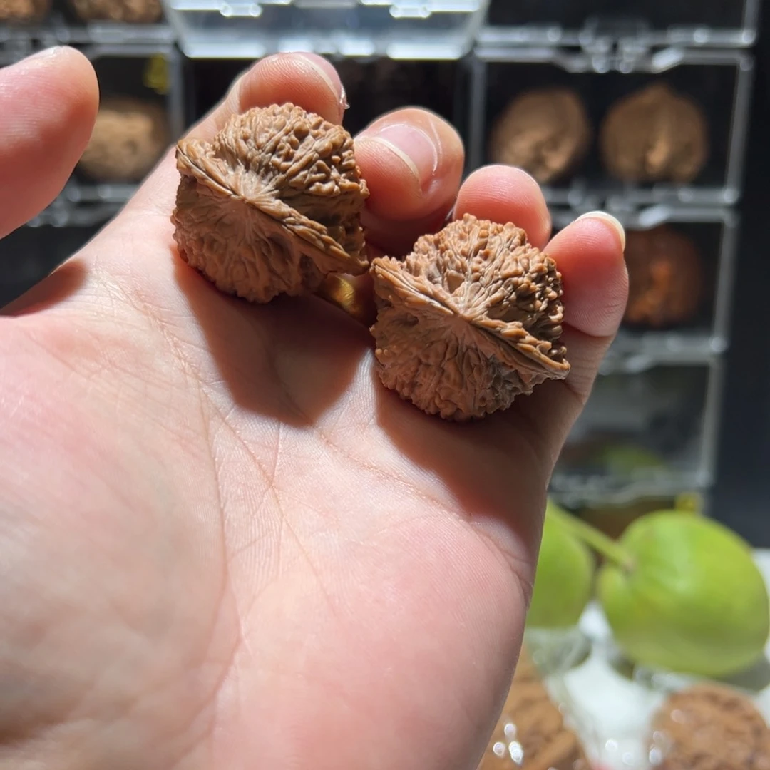 ***ㅤ文玩核桃把件满天星 天使之翼