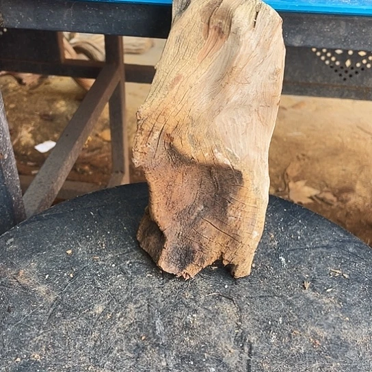 奔***风香榧木崖柏崖柏崖柏