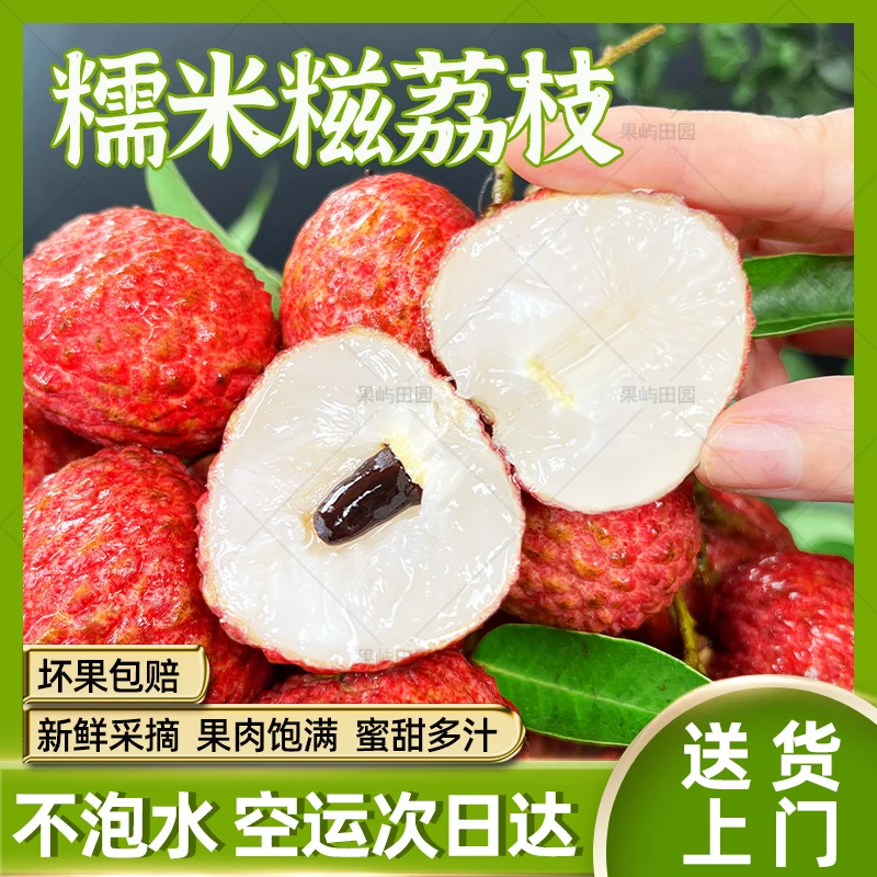【顺丰次日达】广东糯米糍荔枝增城发货鲜果新鲜现摘带枝不泡水1/3/5/10斤应季水果整箱包邮荔枝同城送