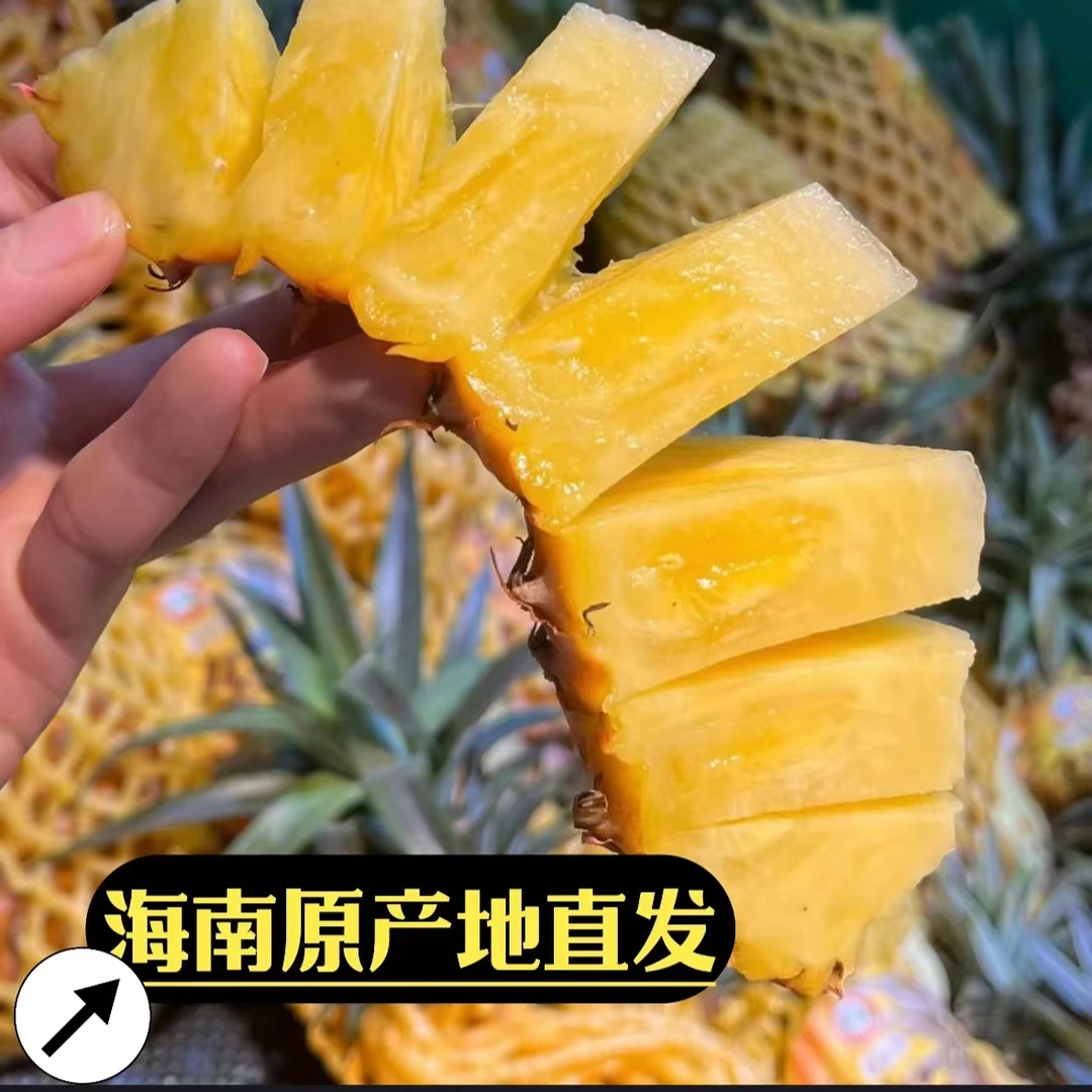 海南热带水果 孕妇水果  正宗金砖凤梨爆甜多汁