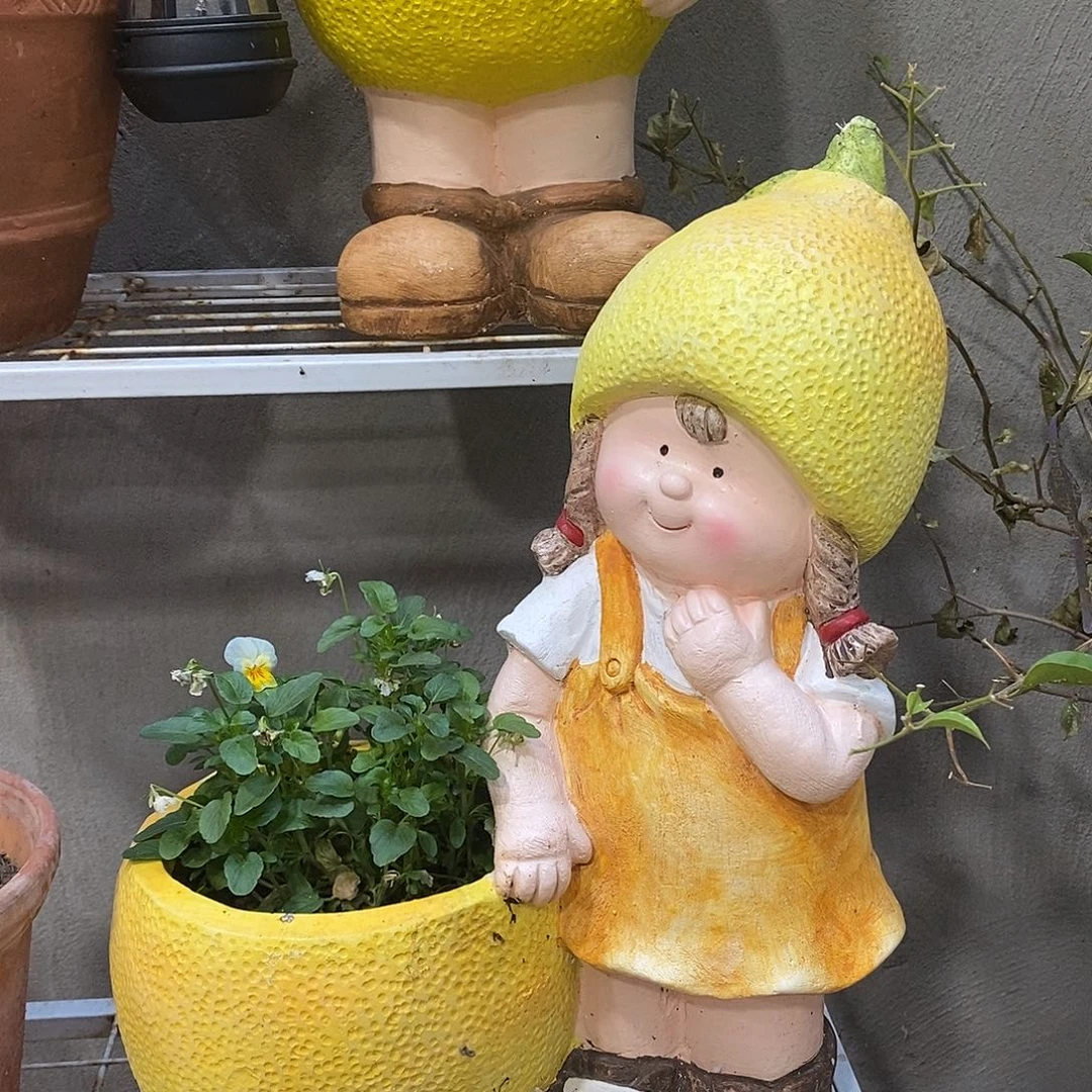 有机玻璃柠檬女孩