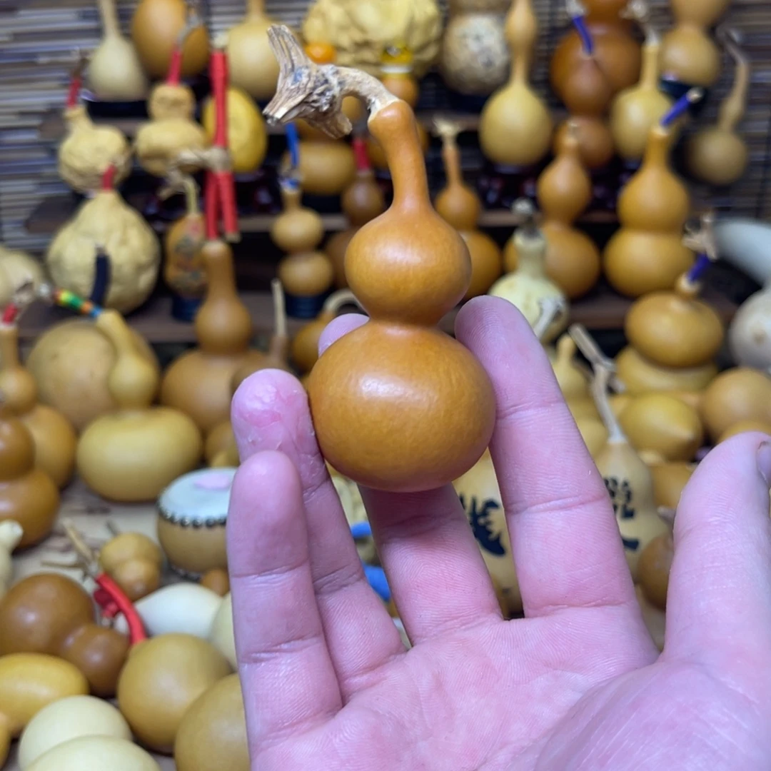 五年老皮天津嘴厚皮响籽34