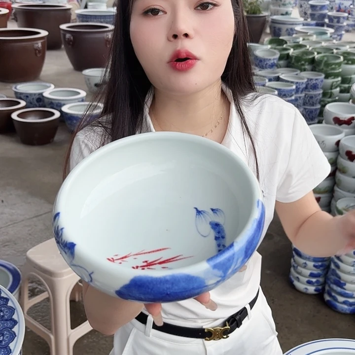 瓷片口径20厘米 高度6厘米
