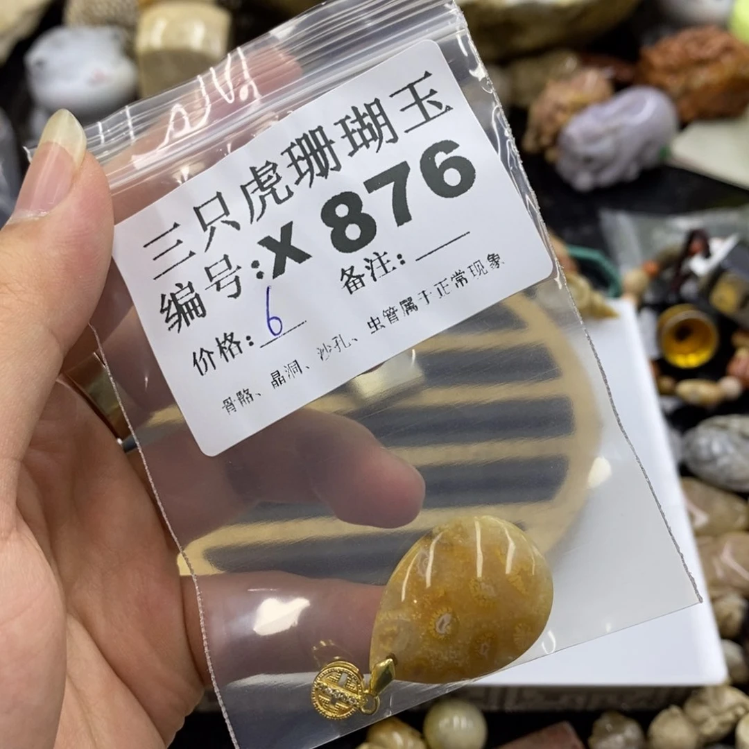 硅化珊瑚（珊瑚玉）X未镶嵌t*o