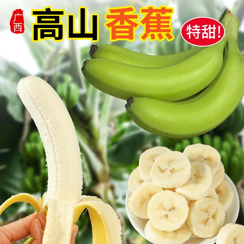 广西高山甜香蕉新鲜水果自然成熟软糯香甜产地直发5斤发货