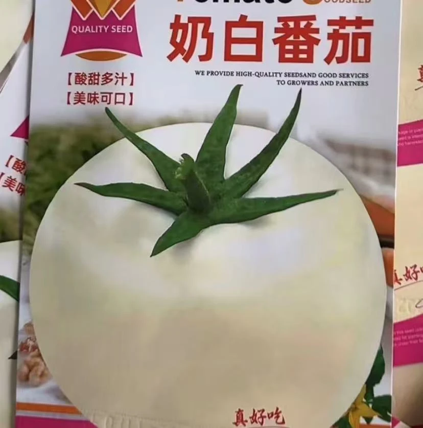 【奶白番茄种子】四季种植盆栽地栽阳台小院种植