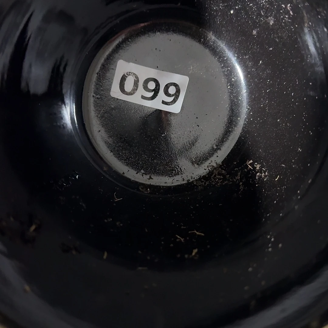 《***磊茶盏好我也要努力去