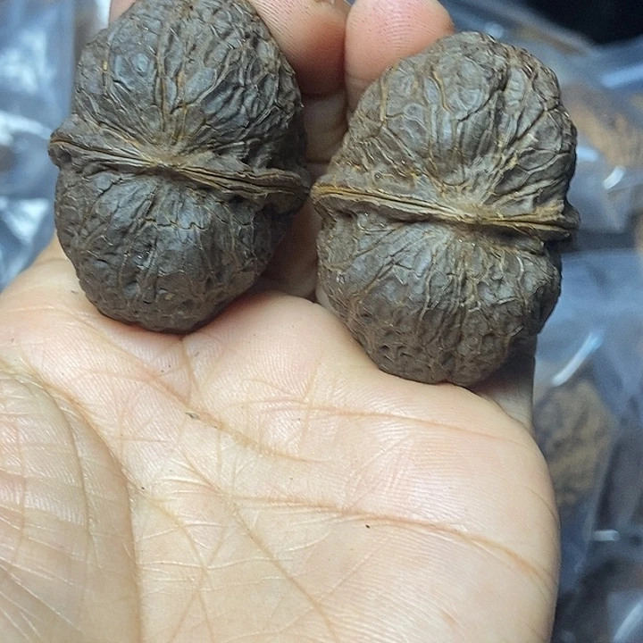 文玩核桃把件云南铁核桃基地85