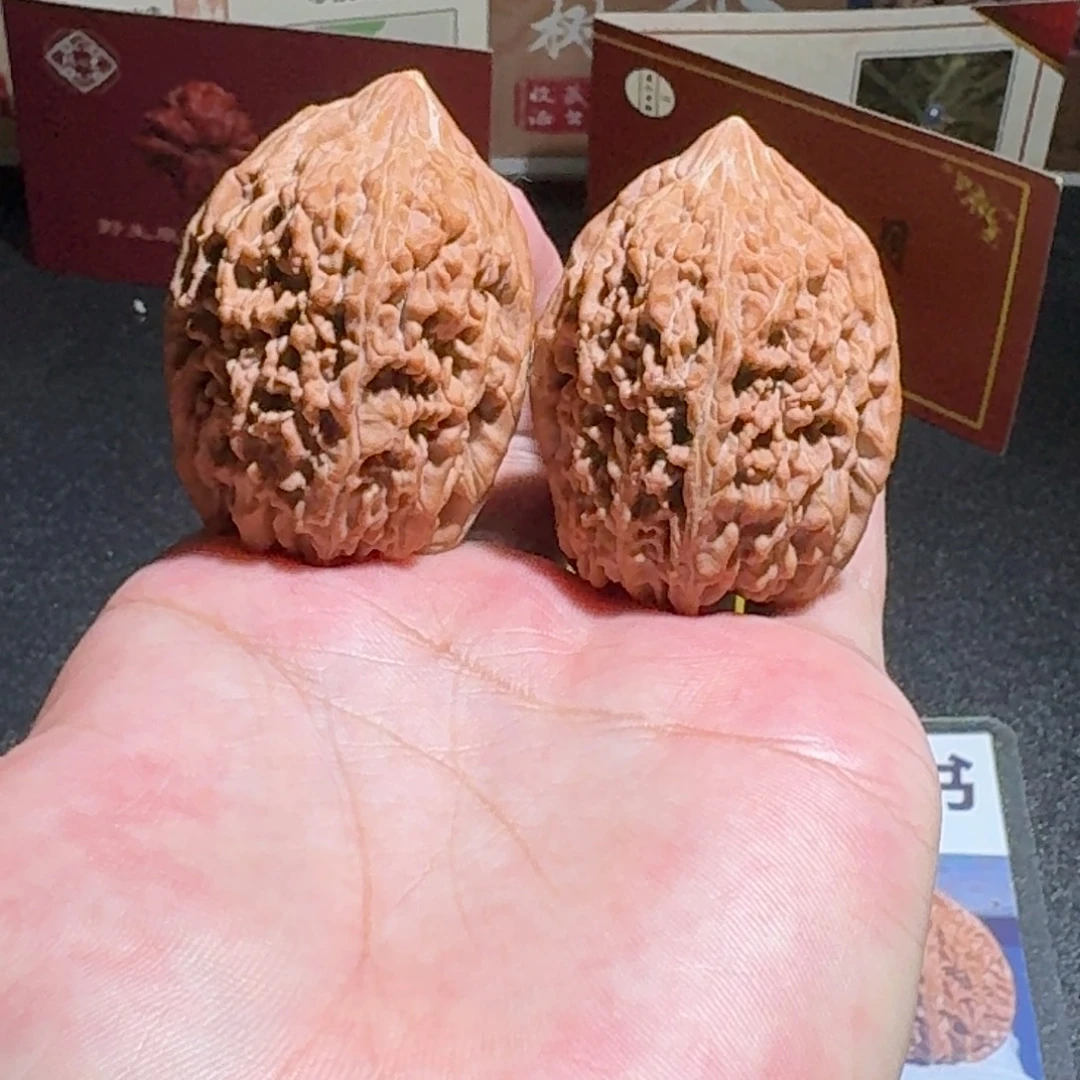 原树大蒜头38精品