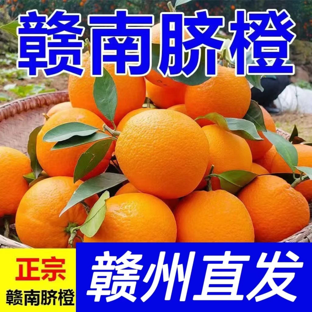 正宗赣南脐橙甜橙子水果新鲜当季整箱赣州果园直发赣州橙子包邮