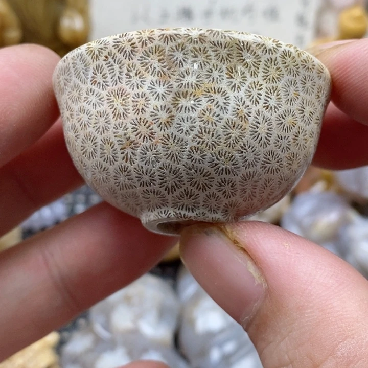 颈饰未镶嵌硅化珊瑚（珊瑚玉）有瑕