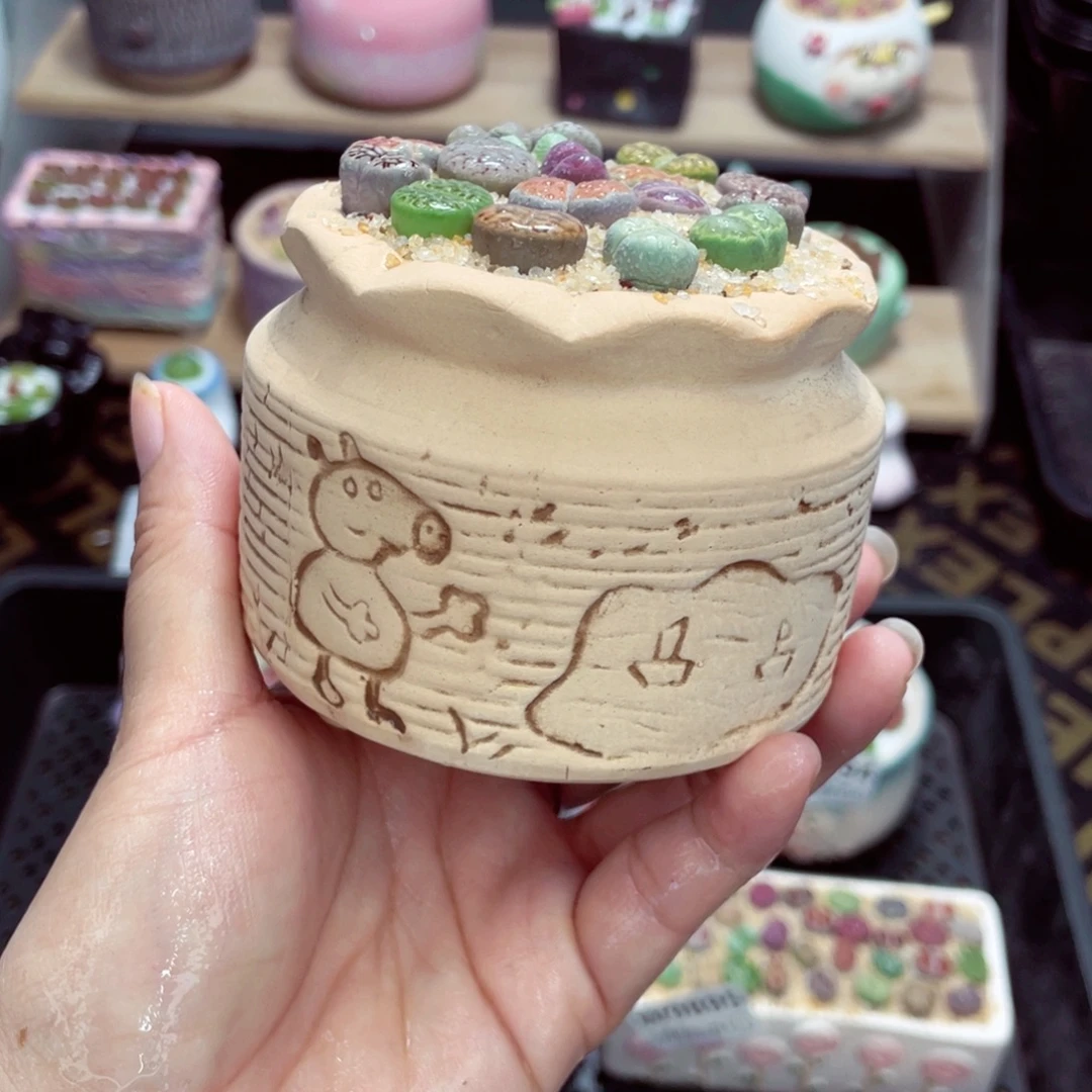 w9896 开播福利 带盆土发货一物一拍