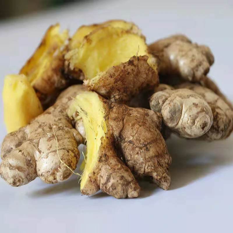 云南现收山货特产–––姜