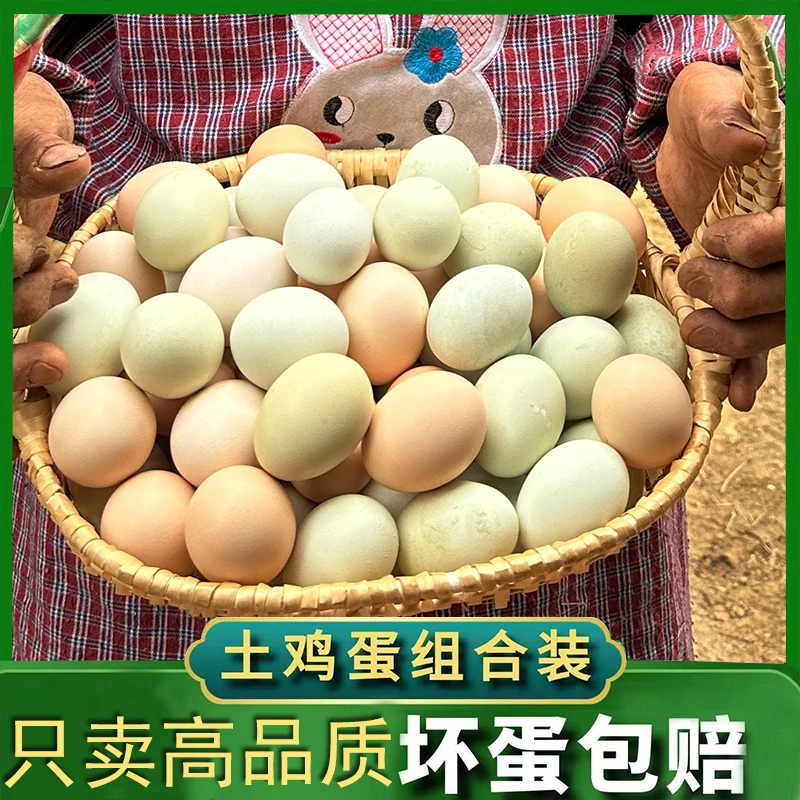 儿童早餐鸡蛋 云南高原散养农村土鸡蛋乌骨鸡蛋绿克高含量 初生蛋