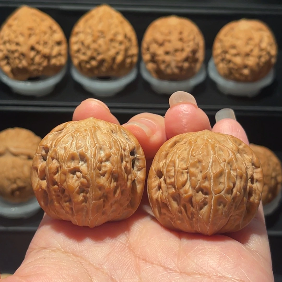 全品，精品，37铁锤032