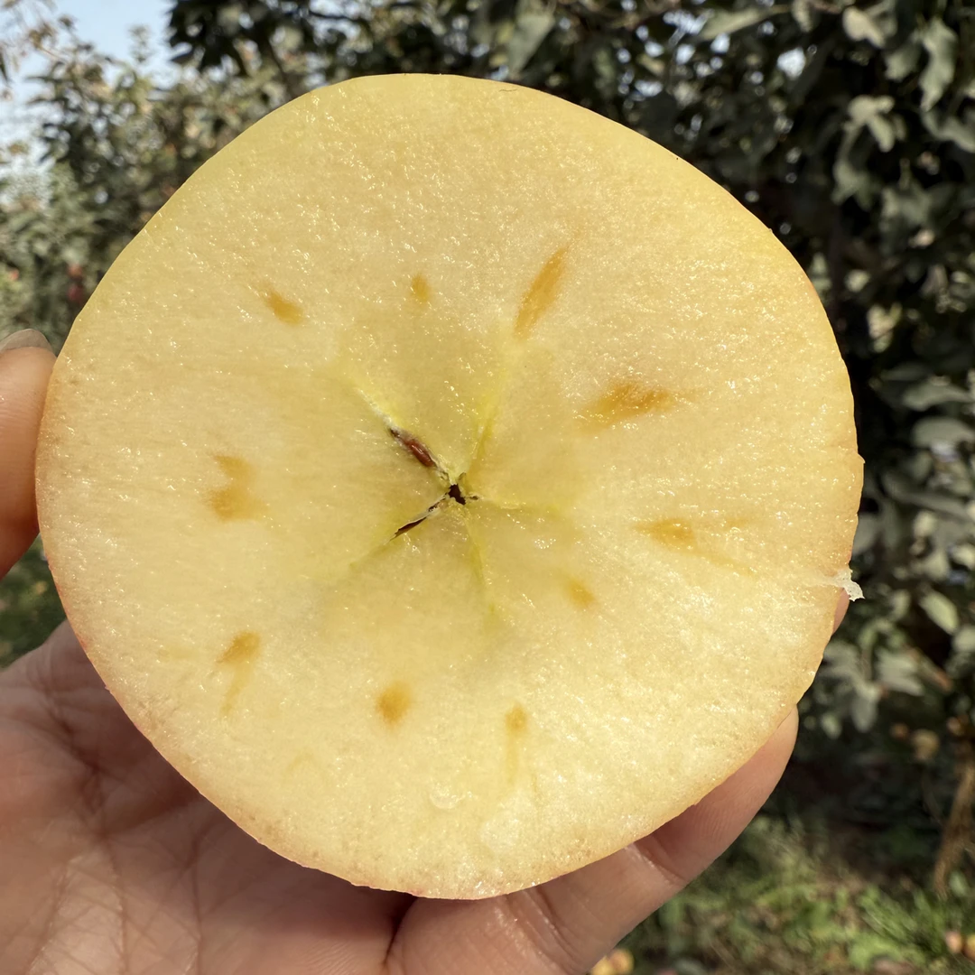 新疆阿克苏冰糖心苹果宝宝果不售后的