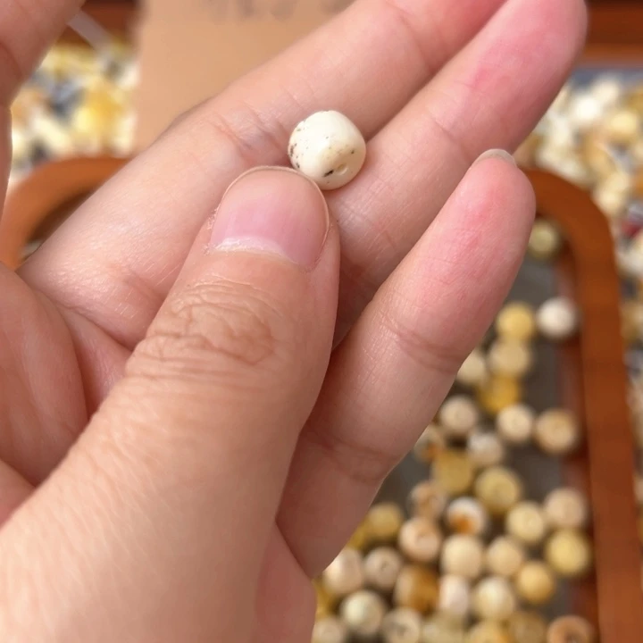 蜜蜡未镶嵌裸石8.1mm一个