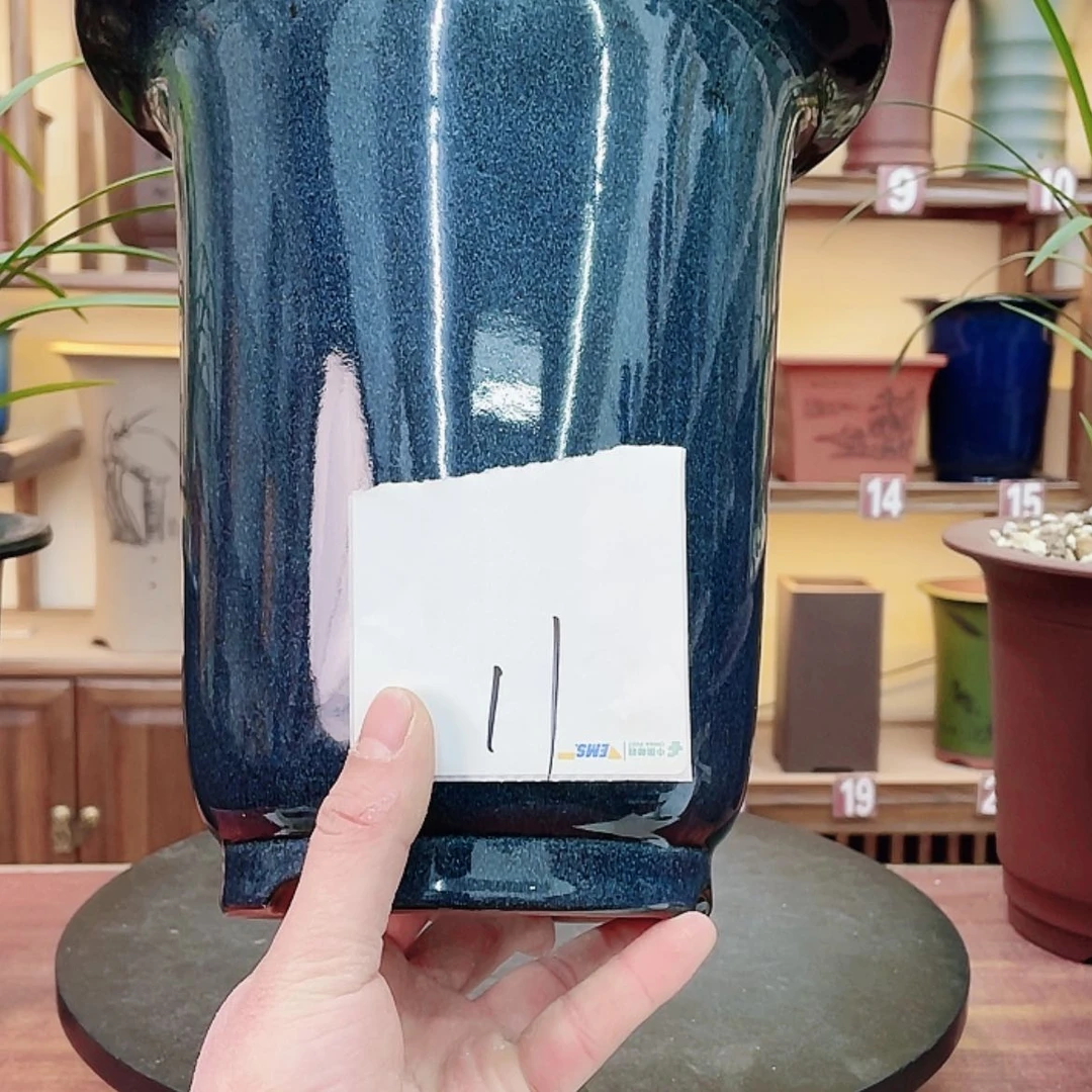 【闪购商品】紫砂花盆才*兰花755554526885486688