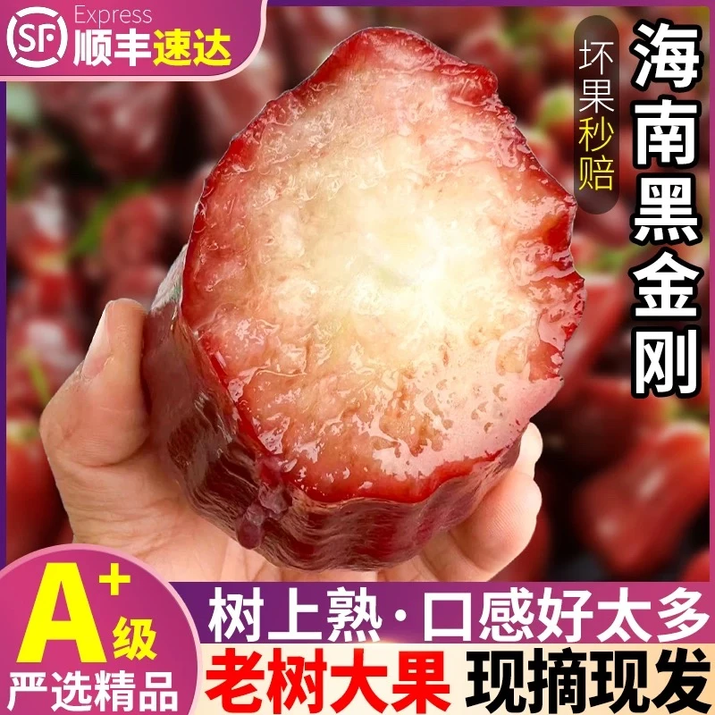 【顺丰空运】正宗海南黑金刚莲雾精品大果3-5斤新鲜采摘清脆爽口