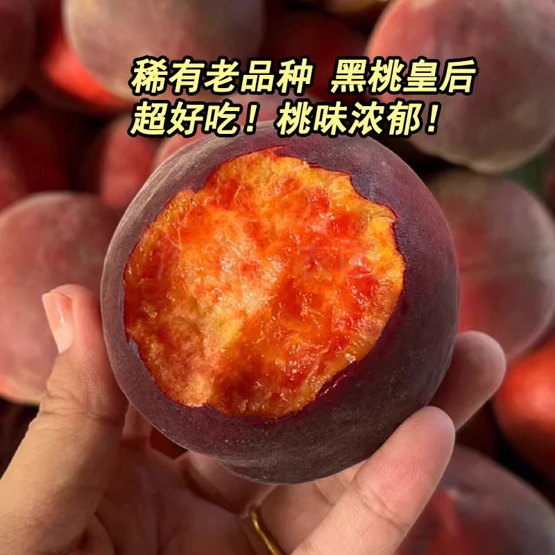 蒙阴黑桃皇后爆甜【顺丰上门】多汁浓郁现摘毛桃子血桃新鲜孕妇水果山东省