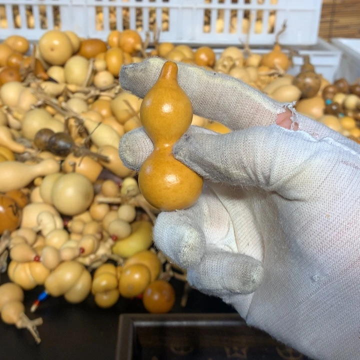 金蟾是在哪点啊你们现在去