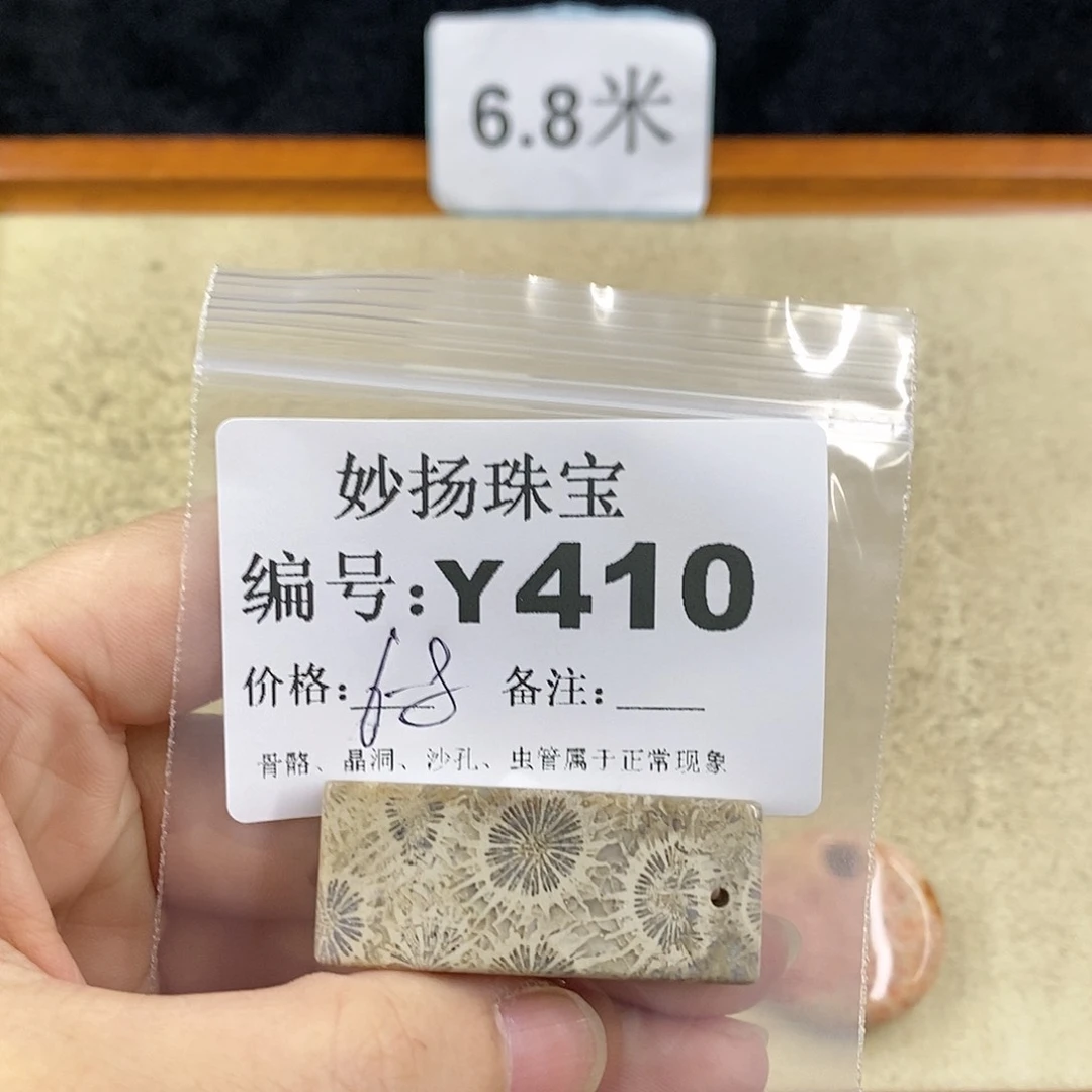 硅化珊瑚（珊瑚玉）1未镶嵌花**岸