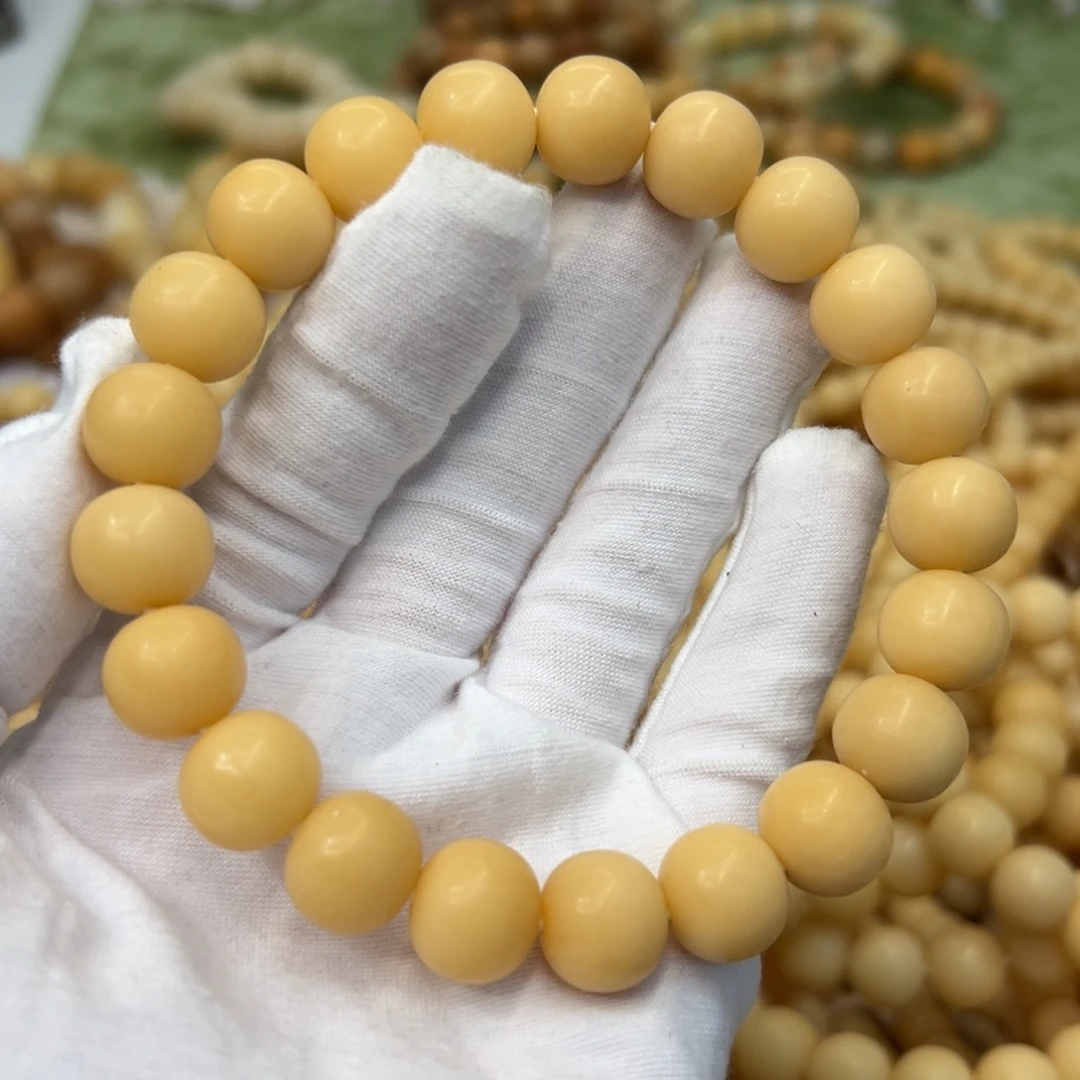 吊坠菩提根/象牙果13干磨树王598