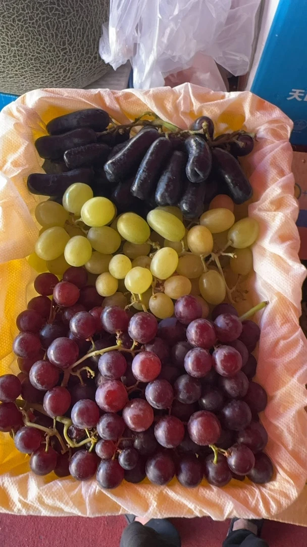 【顺丰空运直发】新疆吐鲁番三色葡萄产地直发