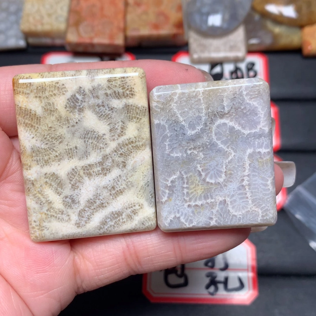 【闪购商品】未镶嵌颈饰硅化玉我****来